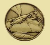 288_european_mantis_cf1