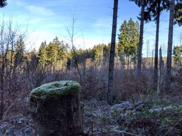 whatsapp image 2019-01-21 at 10.59.45